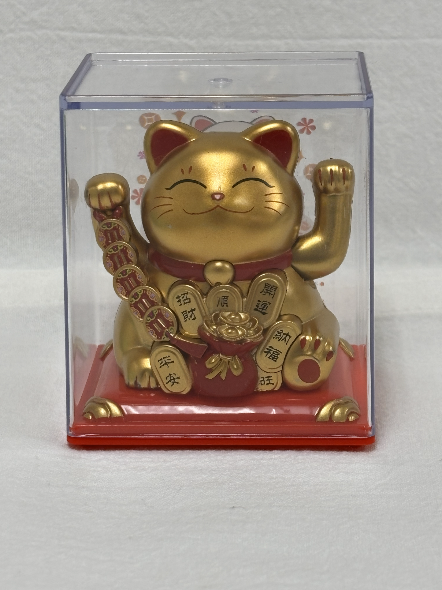 Smiling golden cat