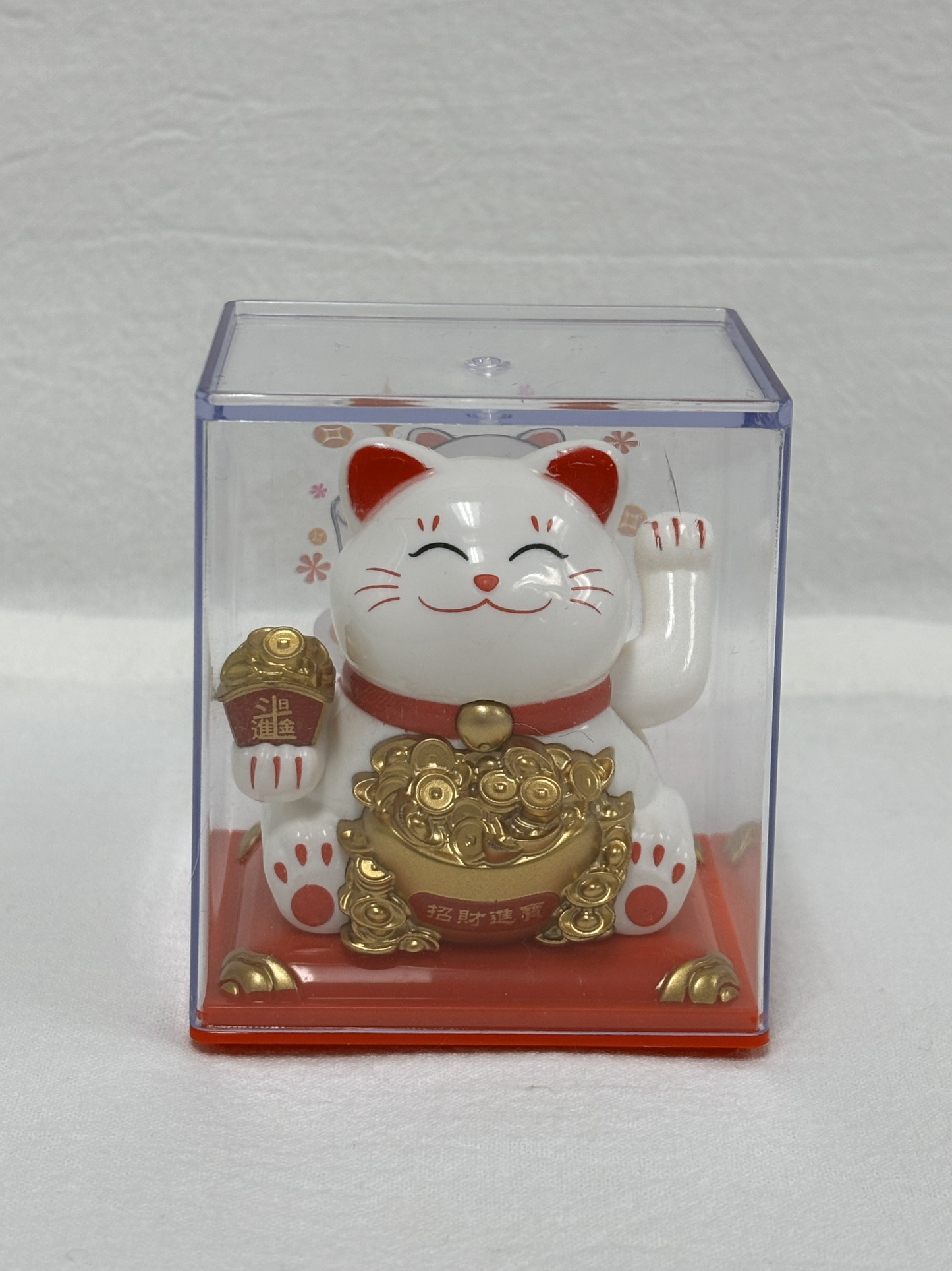 Smiling white cat